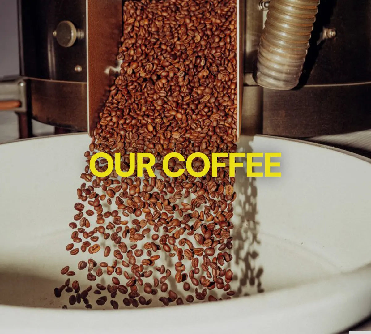 roasted coffee beans fall from the roasting machine