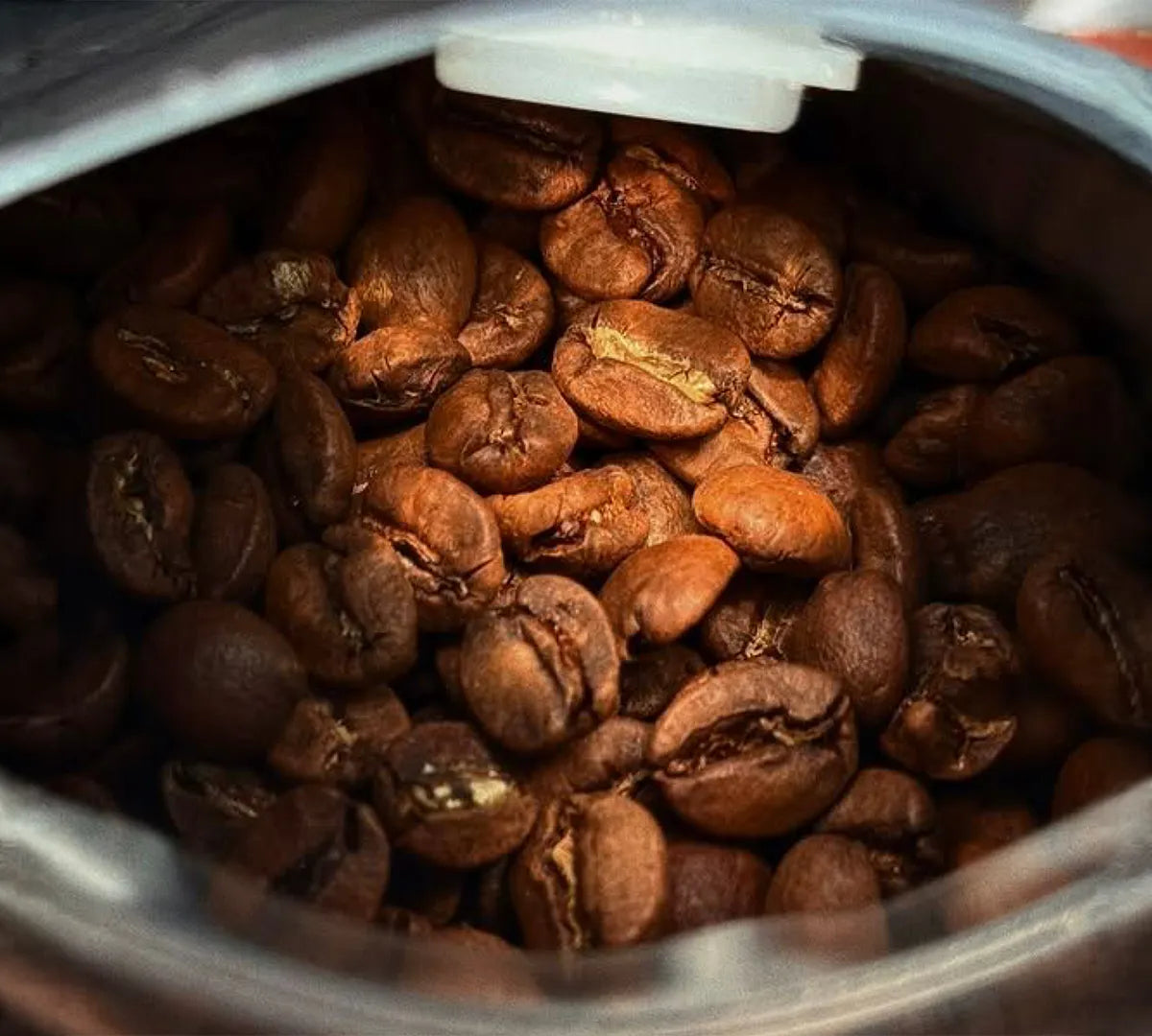 close up on roasted coffee beans